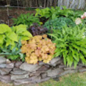 Meet your Posher, Marjorie